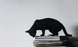 Наличие конфликта с руководством само по себе не свидетельствует о вынужденности увольнения