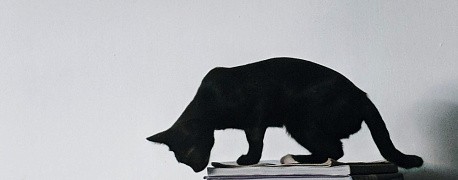 Наличие конфликта с руководством само по себе не свидетельствует о вынужденности увольнения