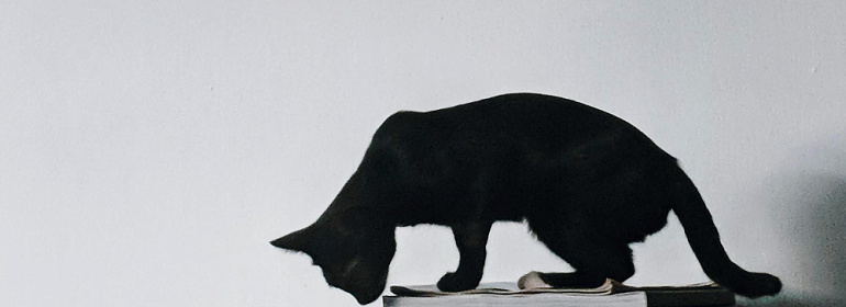 Наличие конфликта с руководством само по себе не свидетельствует о вынужденности увольнения