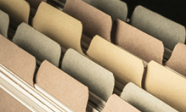 Предоставление данных о дисквалифицированных лицах 