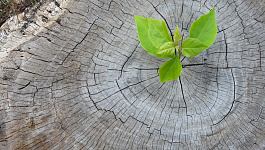 Как использовать инвествычет по налогу на прибыль в 2021